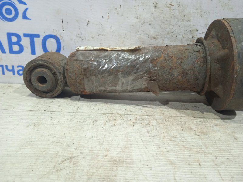Амортизатор задний Porsche Cayenne 2003-2007 7L6513029N (Арт. 1588) Амортизатор задний Porsche Cayenne 2003-2007 7L6513029N (Арт. 1588)