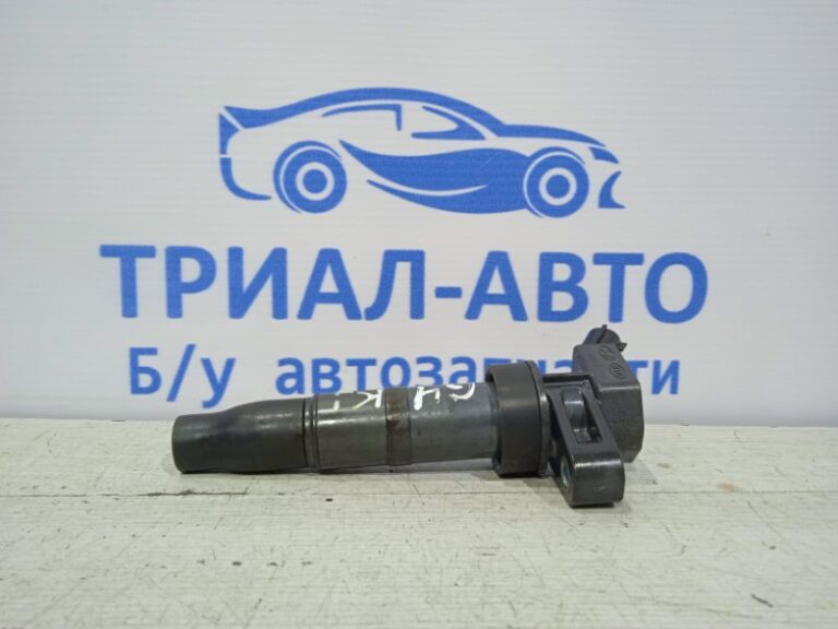 Катушка зажигания Hyundai Sonata 2004-2009 273013C100 (Арт. 20777)