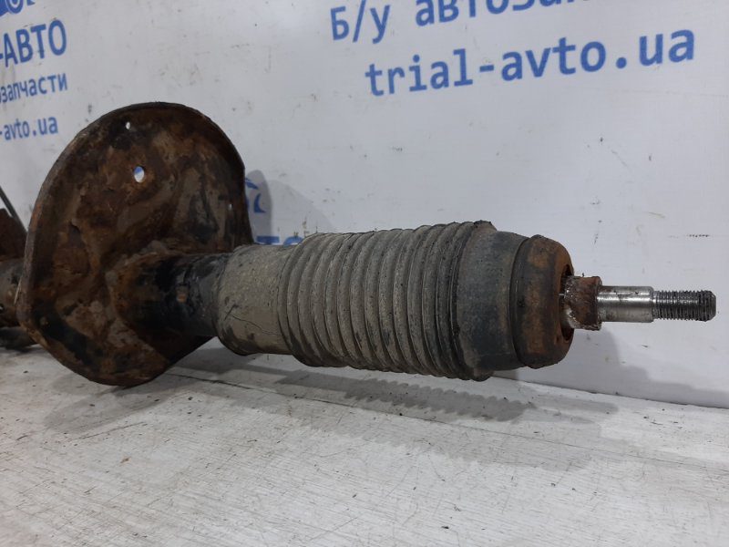 Амортизатор передний правый Hyundai Tucson 2004-2009 546612e000 (Арт. 25466) Амортизатор передний правый Hyundai Tucson 2004-2009 546612e000 (Арт. 25466)