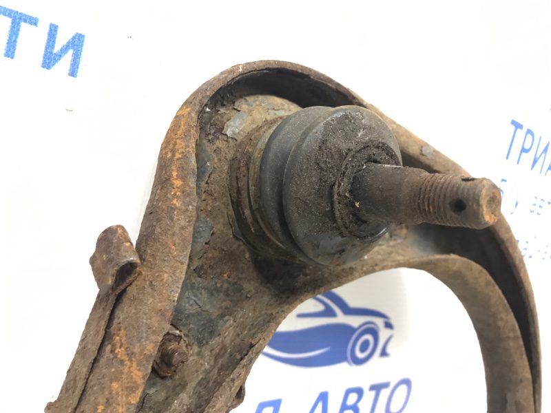 Рычаг передний верхний правый Toyota Prado 2002-2009 0 (Арт. 11962) Рычаг передний верхний правый Toyota Prado 2002-2009 0 (Арт. 11962)
