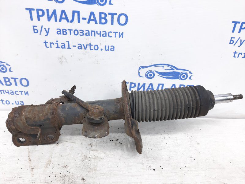 Амортизатор передний правый Nissan Juke 2010-2019 E43021KC2A (Арт. 28881) Амортизатор передний правый Nissan Juke 2010-2019 E43021KC2A (Арт. 28881)