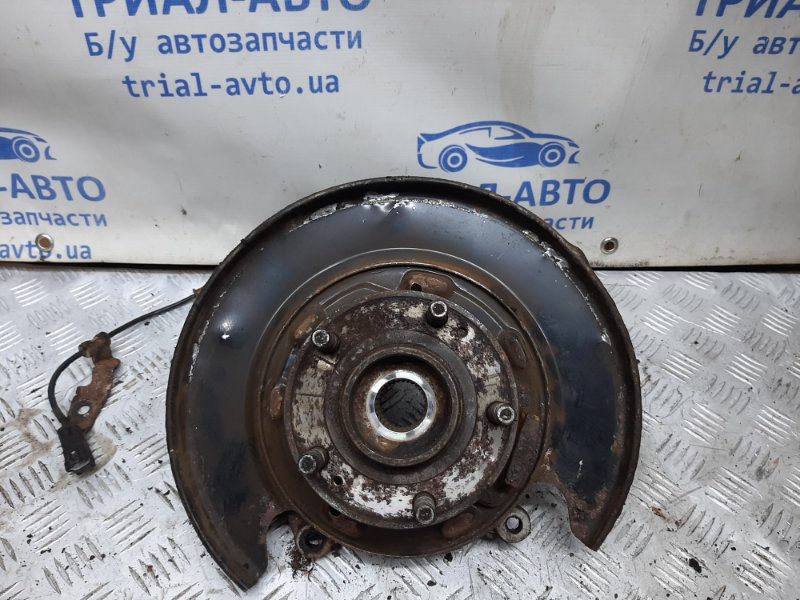 Цапфа задняя левая со ступицей Hyundai Santa fe 2012-2019 52710-2W100 (Арт. 33415) Цапфа задняя левая со ступицей Hyundai Santa fe 2012-2019 52710-2W100 (Арт. 33415)