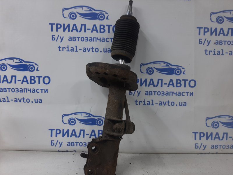 Амортизатор передний левый KIA Ceed 2006-2012 546511H500 (Арт. 36443) Амортизатор передний левый KIA Ceed 2006-2012 546511H500 (Арт. 36443)