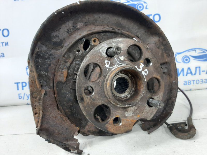 Цапфа задняя правая со ступицей Lexus RX 350 2003-2009 4230448031 (Арт. 36448) Цапфа задняя правая со ступицей Lexus RX 350 2003-2009 4230448031 (Арт. 36448)
