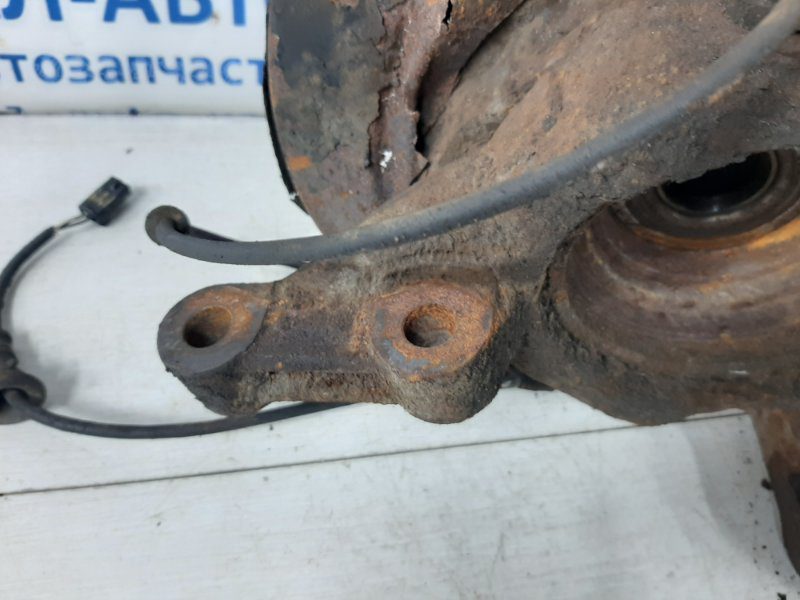 Цапфа задняя правая со ступицей Lexus RX 350 2003-2009 4230448031 (Арт. 36448) Цапфа задняя правая со ступицей Lexus RX 350 2003-2009 4230448031 (Арт. 36448)
