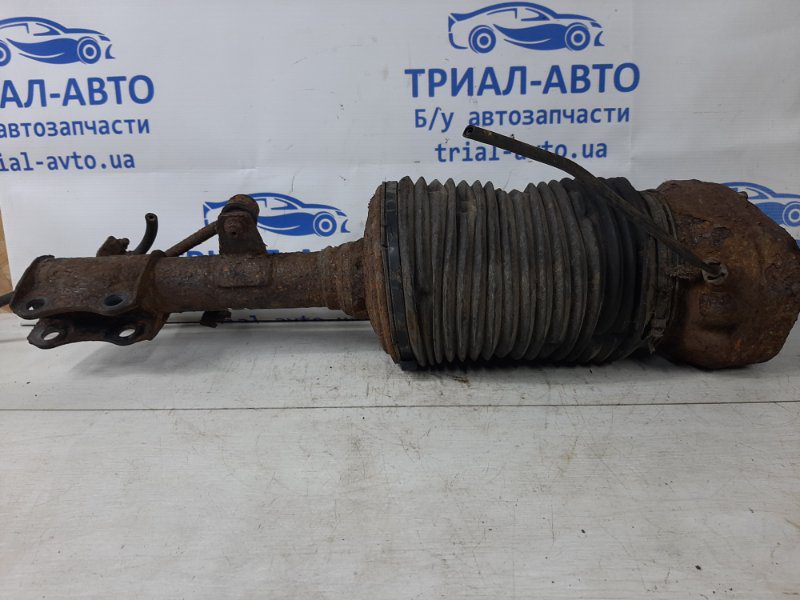 Амортизатор задний Lexus RX 350 2003-2009 4808048030 (Арт. 36503) Амортизатор задний Lexus RX 350 2003-2009 4808048030 (Арт. 36503)