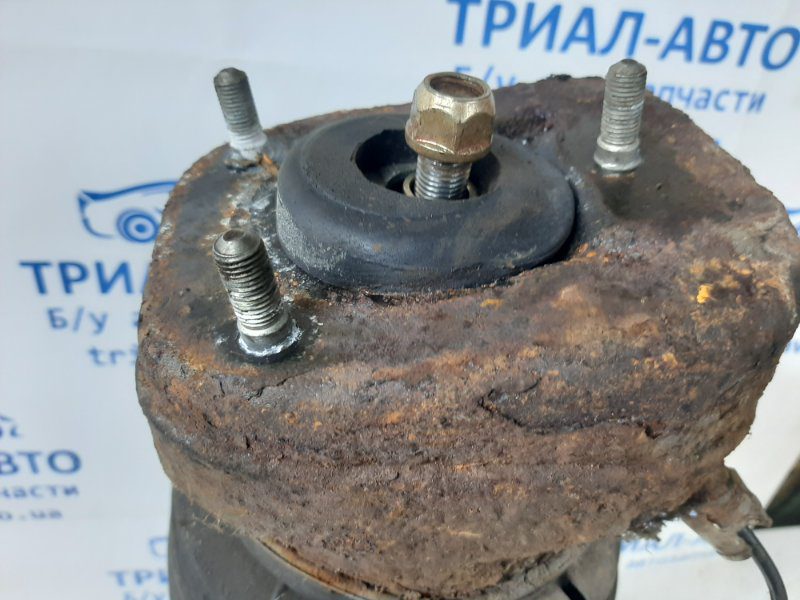 Амортизатор задний Lexus RX 350 2003-2009 4808048030 (Арт. 36503) Амортизатор задний Lexus RX 350 2003-2009 4808048030 (Арт. 36503)