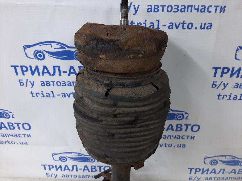 Амортизатор передний левый Lexus RX 350 2003-2009 4802048040 (Арт. 36504) Амортизатор передний левый Lexus RX 350 2003-2009 4802048040 (Арт. 36504)