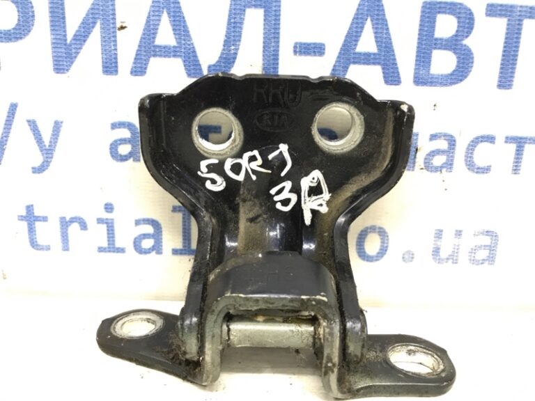 Петля двери задней правой KIA Sorento 2002-2009 79330-3E000 (Арт. 38601)