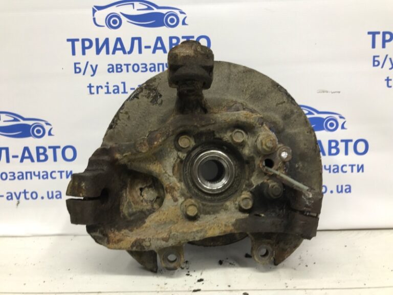 Цапфа задняя левая со ступицей Nissan Pathfinder 2004-2014 43019EB300 (Арт. 56102)