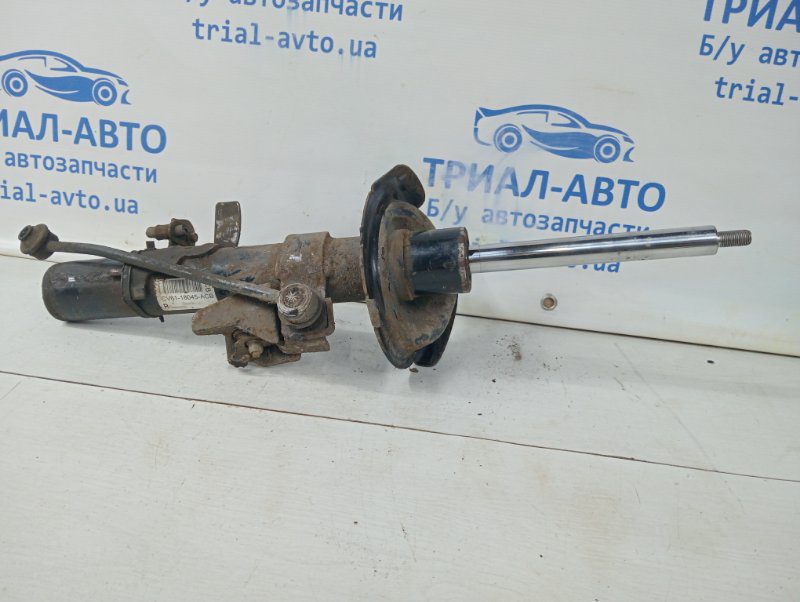 Амортизатор передний правый Ford Kuga 2013-2019 1801177 (Арт. 58305) Амортизатор передний правый Ford Kuga 2013-2019 1801177 (Арт. 58305)