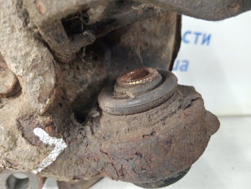 Цапфа задняя левая со ступицей Toyota RAV 4 2012-2018 4230542020 (Арт. 58408) Цапфа задняя левая со ступицей Toyota RAV 4 2012-2018 4230542020 (Арт. 58408)