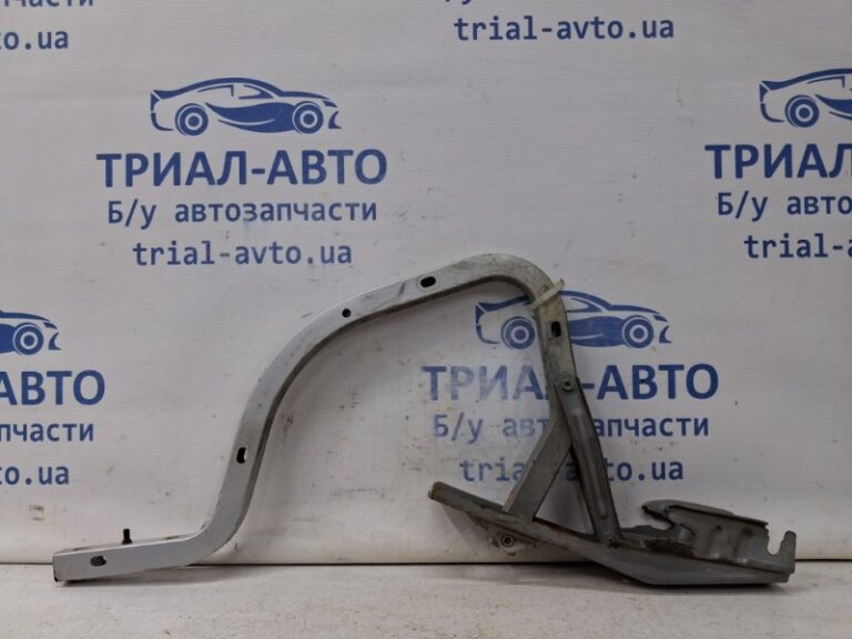 Петля крышки багажника Toyota Camry 2006-2011 6451033060 (Арт. 64301)