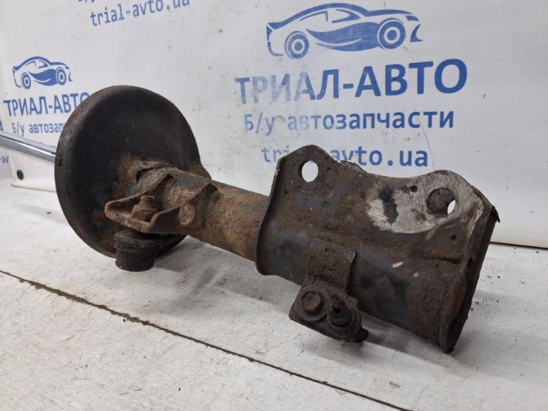 Амортизатор передний правый Suzuki Grand Vitara 2005-2016 4160164J00 (Арт. 64406) Амортизатор передний правый Suzuki Grand Vitara 2005-2016 4160164J00 (Арт. 64406)