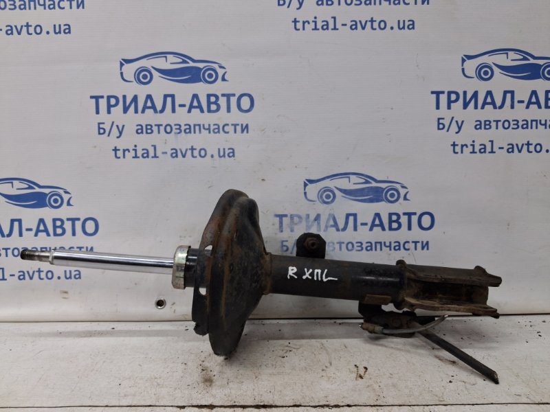 Амортизатор передний левый Lexus RX 350 XU30 3.5 БЕНЗИН 2GRFE 2003 (б/у) Амортизатор передний левый Lexus RX 350 XU30 3.5 БЕНЗИН 2GRFE 2003 (б/у)
