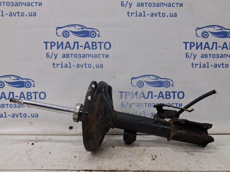 Амортизатор передний правый Lexus RX 350 XU30 3.5 БЕНЗИН 2GRFE 2003 (б/у) Амортизатор передний правый Lexus RX 350 XU30 3.5 БЕНЗИН 2GRFE 2003 (б/у)