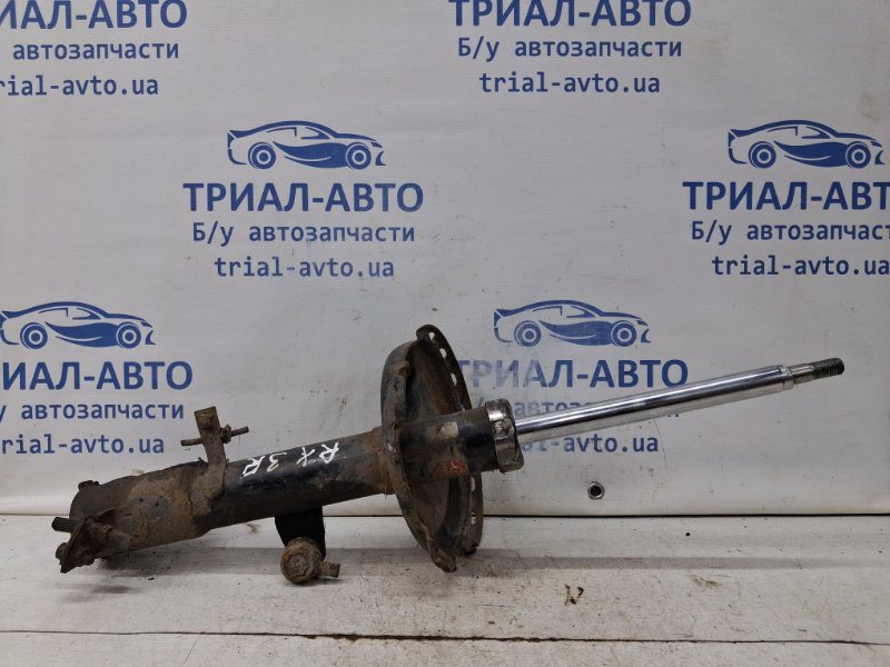Амортизатор задний Lexus RX 350 XU30 3.5 БЕНЗИН 2GRFE 2003 прав. (б/у) Амортизатор задний Lexus RX 350 XU30 3.5 БЕНЗИН 2GRFE 2003 прав. (б/у)