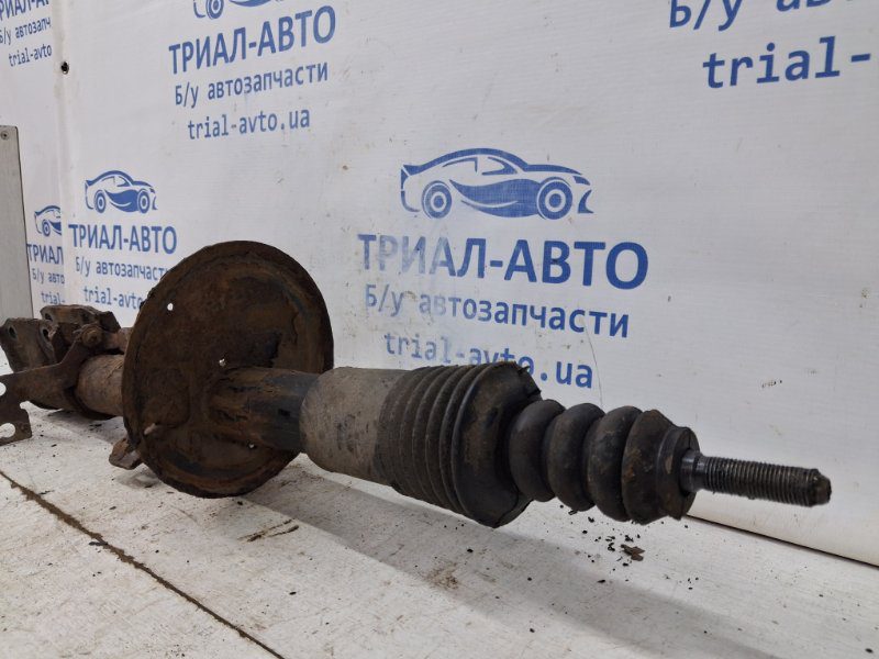 Амортизатор передний правый Dacia Duster 2010-2017 (Арт. 64434) Амортизатор передний правый Dacia Duster 2010-2017 (Арт. 64434)
