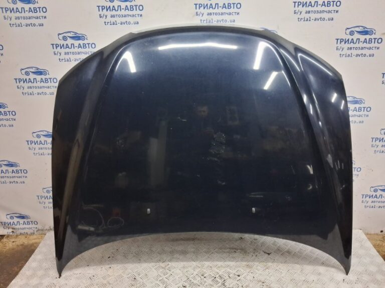 Капот Hyundai Sonata 2004-2010 664003K010 (Арт. 66748)