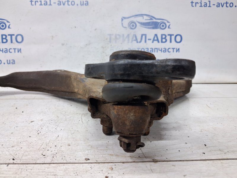 Рычаг левый Hyundai Tucson 2004-2009 545002E100 (Арт. 66977) Рычаг левый Hyundai Tucson 2004-2009 545002E100 (Арт. 66977)