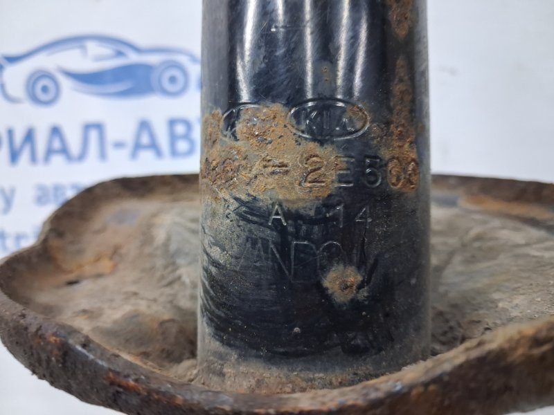 Амортизатор передний правый Hyundai Tucson 2004-2009 (Арт. 67327) Амортизатор передний правый Hyundai Tucson 2004-2009 (Арт. 67327)