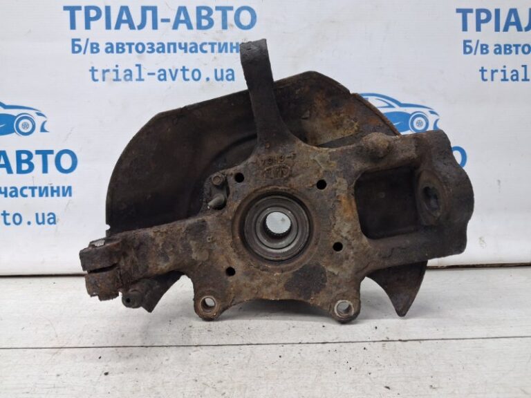 Кулак поворотный правый со ступицей Kia Sorento 2002-2011 517163E250 (Арт. 70025)