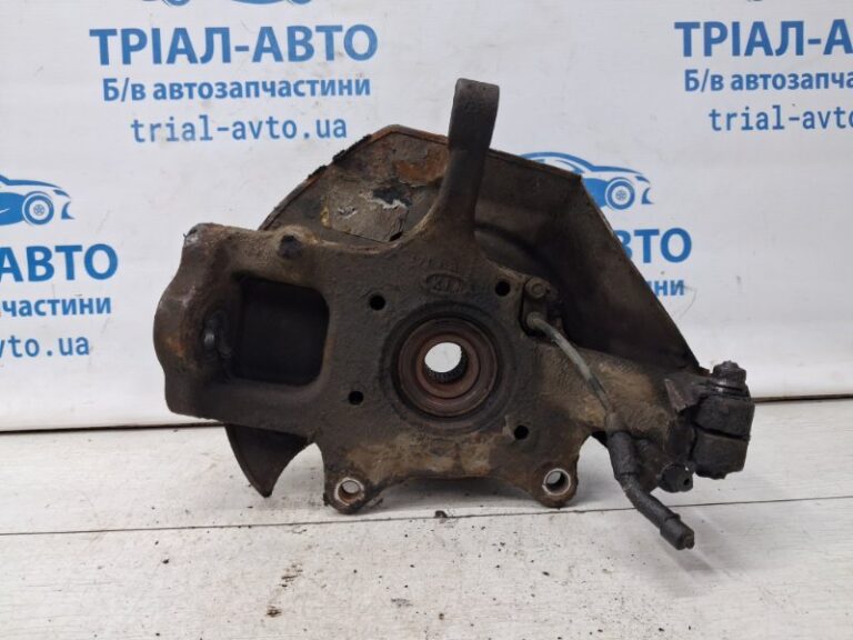 Кулак поворотный левый со ступицей Kia Sorento 2002-2011 517153E250 (Арт. 70026)