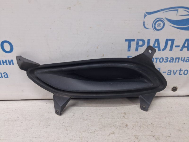 Решетка противотуманки левая Hyundai Sonata 2010-2016 865233S000 (Арт. 71816) Решетка противотуманки левая Hyundai Sonata 2010-2016 865233S000 (Арт. 71816)