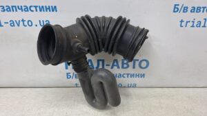 0003_05_294