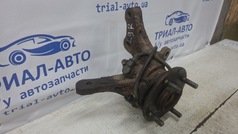 Кулак поворотный правый со ступицей Mitsubishi Lancer 2003-2009 MR491322 (Арт. 74225) Кулак поворотный правый со ступицей Mitsubishi Lancer 2003-2009 MR491322 (Арт. 74225)