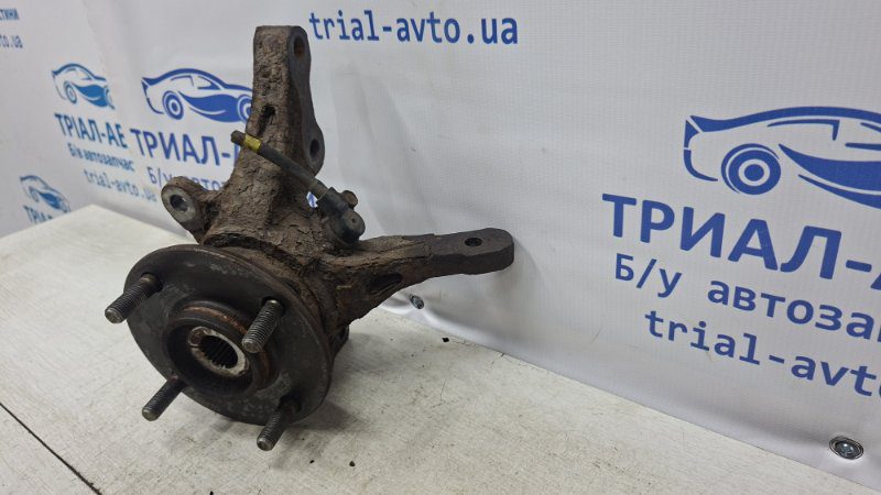 Кулак поворотный левый со ступицей Mitsubishi Lancer 2003-2009 MR491321 (Арт. 74240) Кулак поворотный левый со ступицей Mitsubishi Lancer 2003-2009 MR491321 (Арт. 74240)