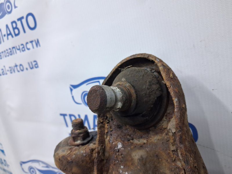 Рычаг передний нижний правый Nissan Pathfinder 2004-2014 54500EB300 (Арт. 75034) Рычаг передний нижний правый Nissan Pathfinder 2004-2014 54500EB300 (Арт. 75034)