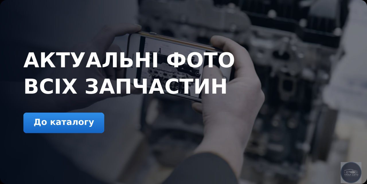 Главная