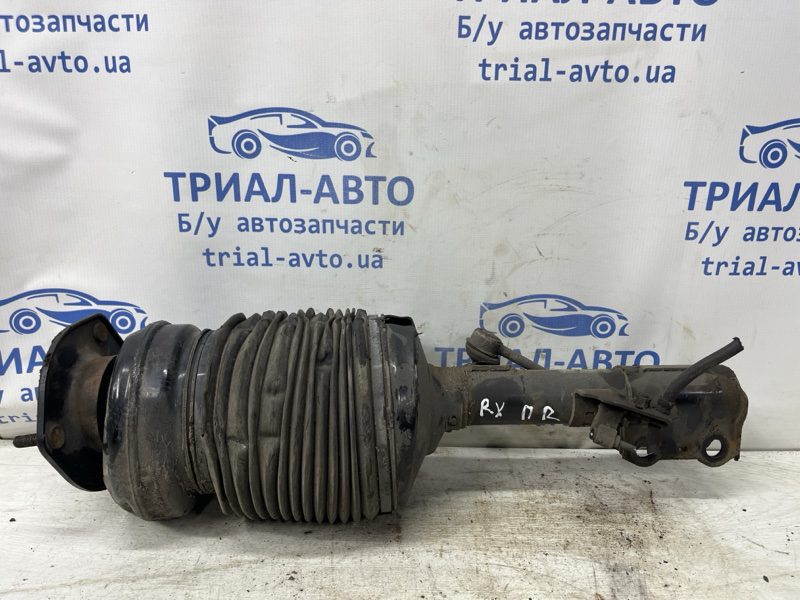 Амортизатор передний правый Lexus RX 350 2003-2009 4801048040 (Арт. 79431) Амортизатор передний правый Lexus RX 350 2003-2009 4801048040 (Арт. 79431)
