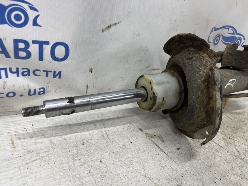 Амортизатор передний правый Mazda 3 2003-2009 BR5S-34-700A (Арт. 80206) Амортизатор передний правый Mazda 3 2003-2009 BR5S-34-700A (Арт. 80206)