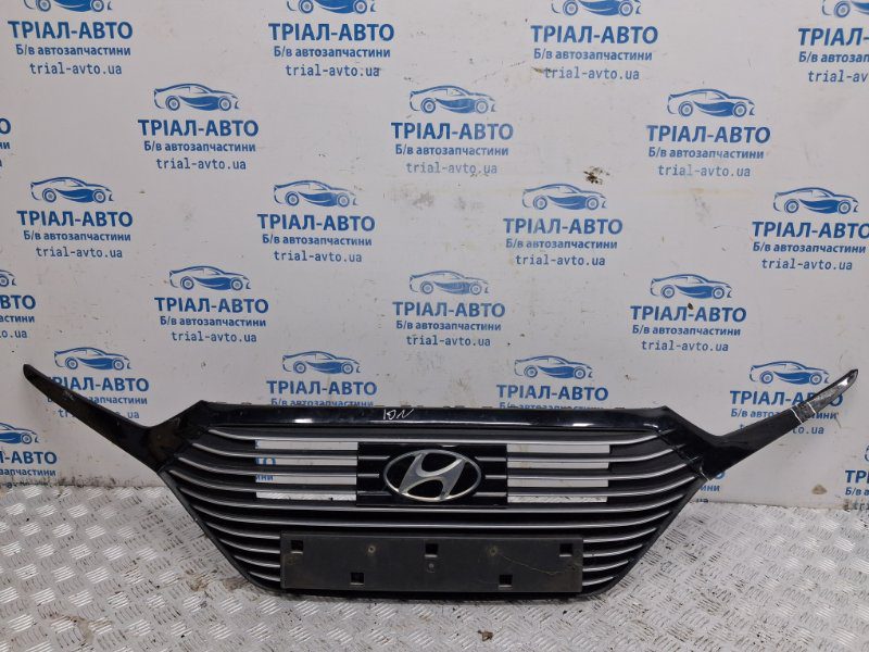 Решетка радиатора Hyundai Ioniq 2016- 86350G2100 (Арт. 80624) Решетка радиатора Hyundai Ioniq 2016- 86350G2100 (Арт. 80624)