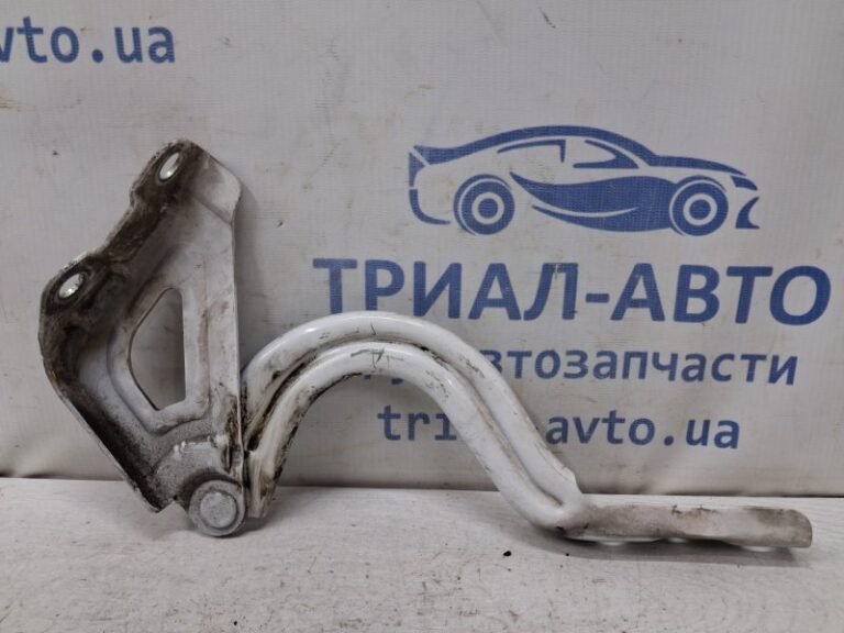 Петля капота правая Hyundai Ioniq 2016- 79120G2000 (Арт. 80832)