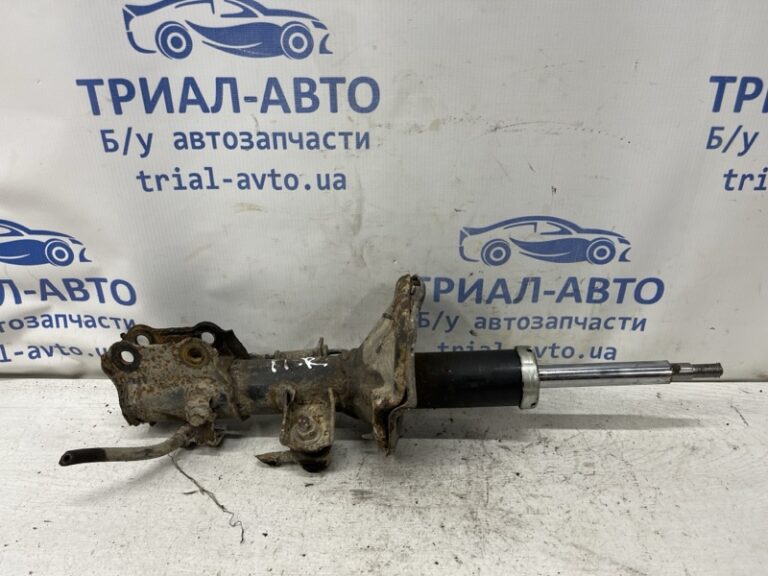 Амортизатор передний правый Hyundai Getz 2002-2011 546601C300 (Арт. 80981)