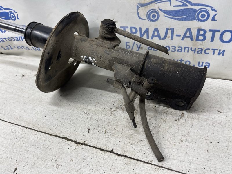 Амортизатор передний правый Toyota Camry 2001-2006 48510-80039 (Арт. 81314) Амортизатор передний правый Toyota Camry 2001-2006 48510-80039 (Арт. 81314)