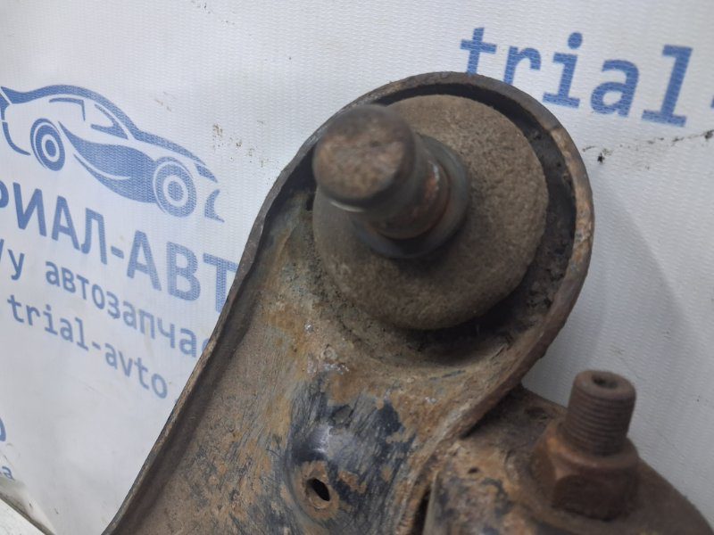 Рычаг передний нижний правый Nissan Navara 2004-2015 (Арт. 82483) Рычаг передний нижний правый Nissan Navara 2004-2015 (Арт. 82483)