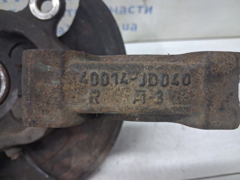 Кулак поворотный правый со ступицей Nissan Qashqai 2006-2013 40014JD000 (Арт. 82563) Кулак поворотный правый со ступицей Nissan Qashqai 2006-2013 40014JD000 (Арт. 82563)