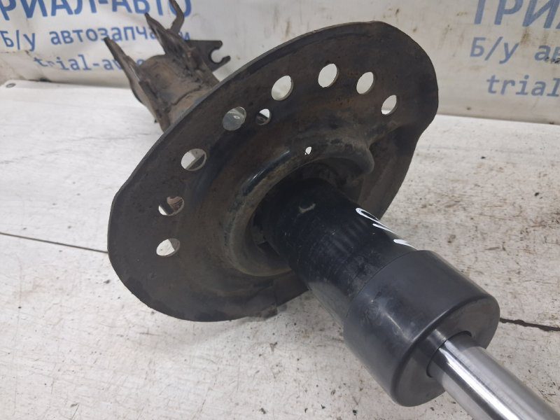 Амортизатор передний левый Nissan Qashqai 2006-2013 E4303BR04A (Арт. 82596) Амортизатор передний левый Nissan Qashqai 2006-2013 E4303BR04A (Арт. 82596)