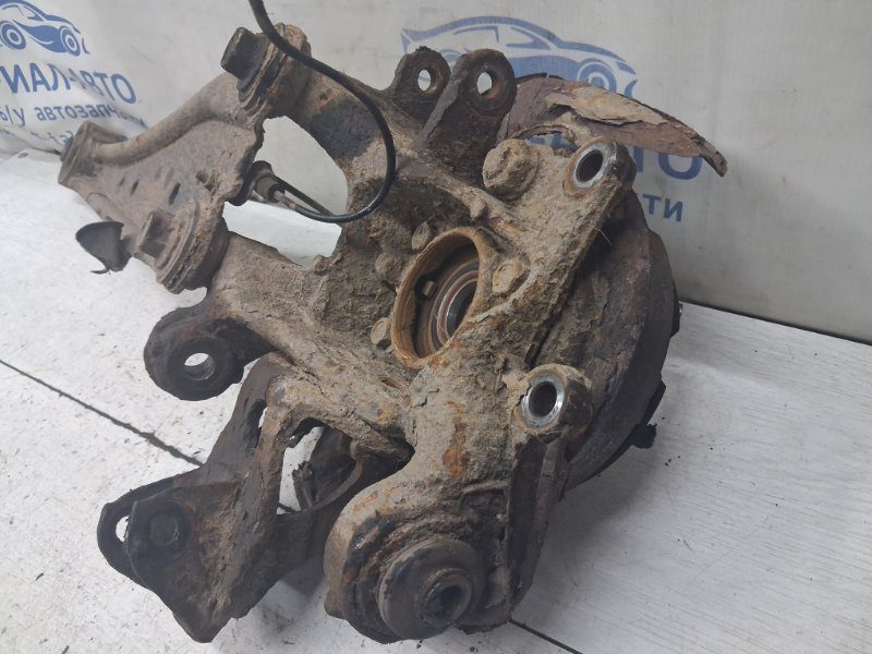 Цапфа задняя левая Toyota RAV 4 2005-2016 4230542020 (Арт. 83496) Цапфа задняя левая Toyota RAV 4 2005-2016 4230542020 (Арт. 83496)