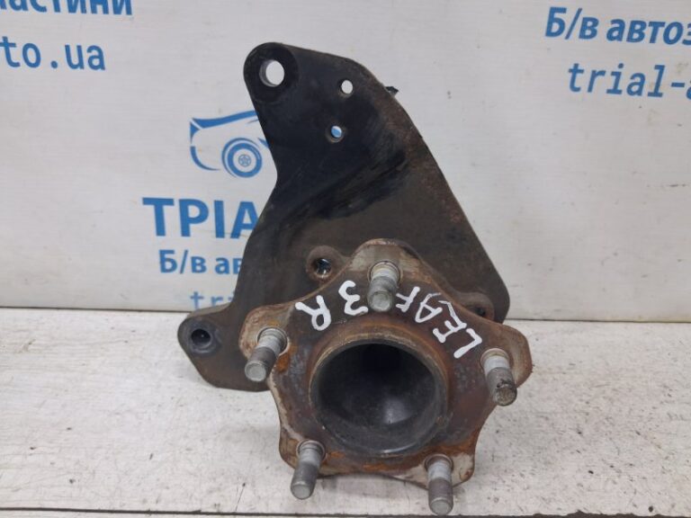 Ступица задняя Nissan Leaf 2017- 432025SK0A (Арт. 84291)