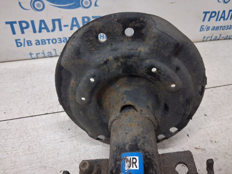 Амортизатор передний правый Nissan X-Trail 2014-2021 E43024CB1D (Арт. 84348) Амортизатор передний правый Nissan X-Trail 2014-2021 E43024CB1D (Арт. 84348)