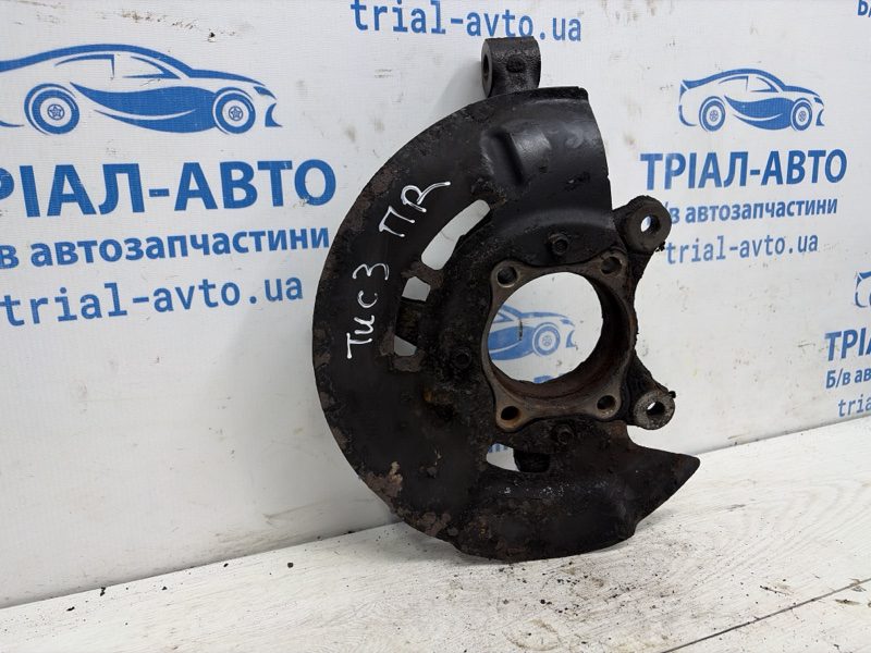Кулак поворотный правый без ступицы Hyundai Tucson 2015-2021 51716D7000 (Арт. 84397) Кулак поворотный правый без ступицы Hyundai Tucson 2015-2021 51716D7000 (Арт. 84397)